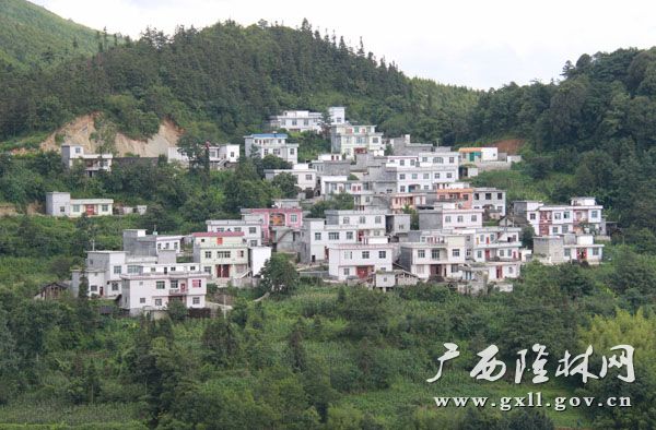 廣東傾情幫扶隆林山村變了樣