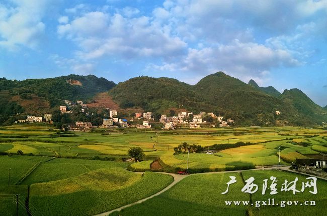 隆林各族自治縣-百色新聞網(wǎng)