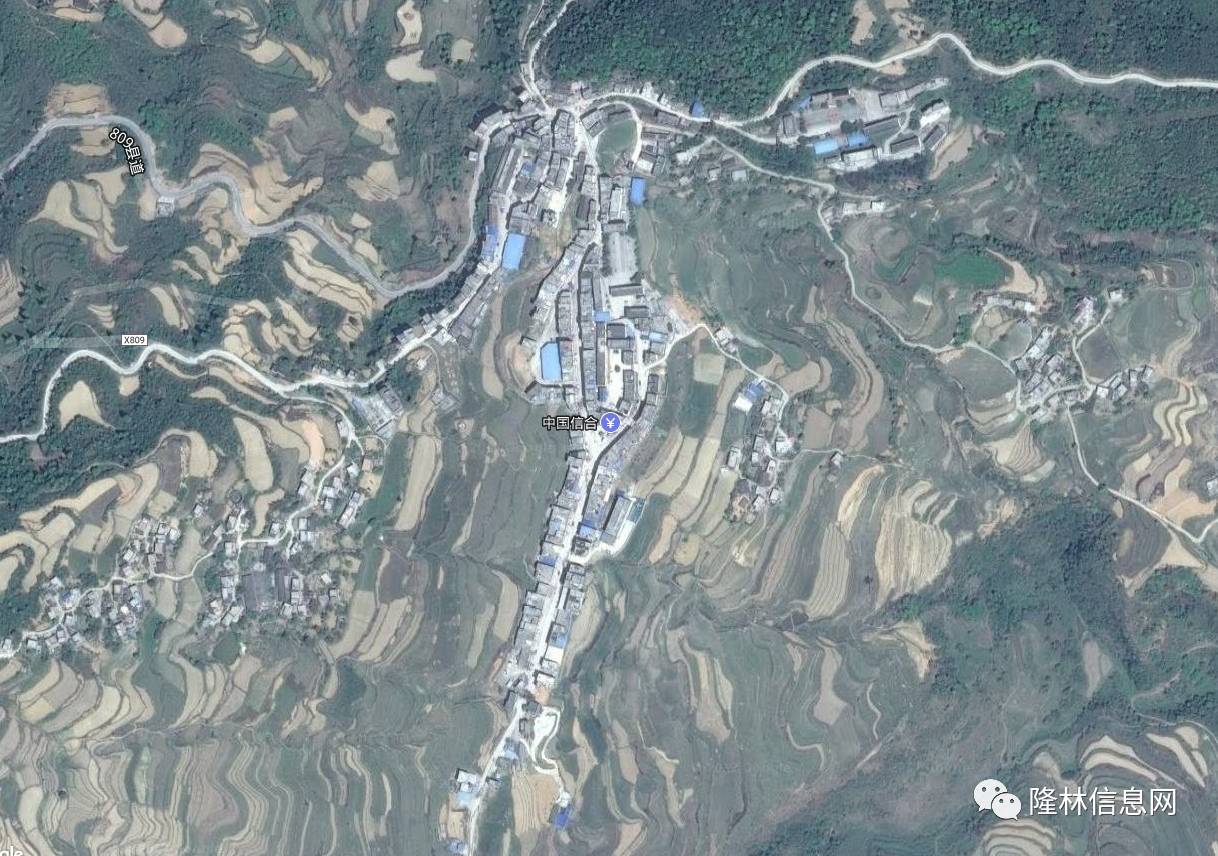 隆林16個鄉鎮衛星地圖哪個最美呢隆林信息網