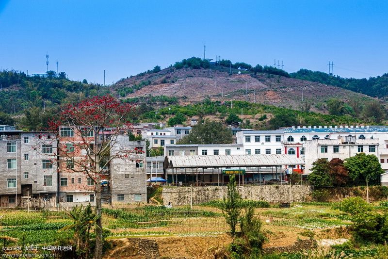 廣西隆林兩天自由行,感受最美隆林!_網(wǎng)易訂閱