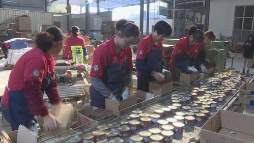 開工啦 上班第一天,平和企業趕訂單...