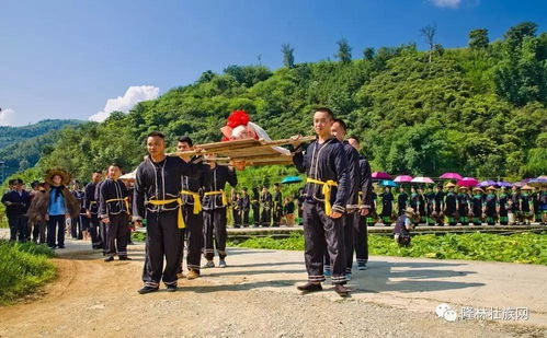 2017年隆林六月六 敬田節 盛大活動場面 你參加了嗎