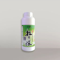 2019中國釣魚明星賽將于老鬼生物科技產業(yè)園盛大開幕 附比賽贊助餌料