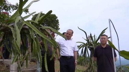 廣西隆林縣黨政代表團到羅甸縣考察