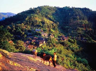 五彩斑斕的隆林花苗服飾--隆林信息網_歷史_網