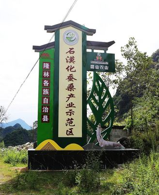 隆林:石漠化蠶桑產業示范區高產高質高效種桑養蠶