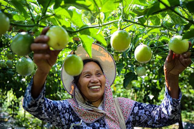 &ldquo;桂字號&rdquo;農文旅走進大灣區