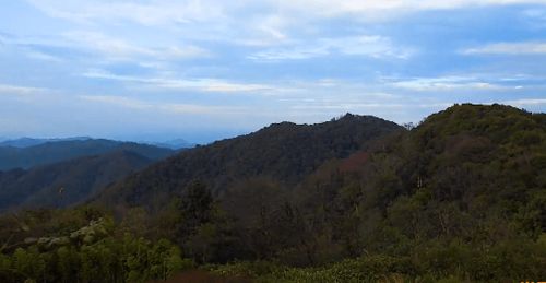 五彩民族,天生隆林