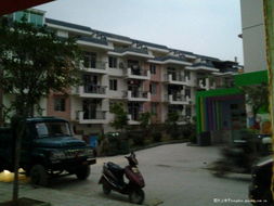 蛇年隆林新景色 迎接六十大慶