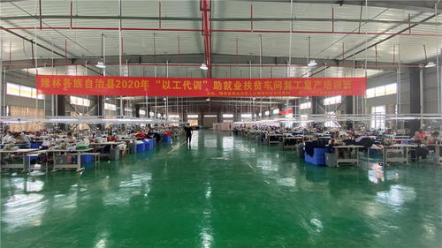 廣西壯族自治區(qū)百色市隆林各族自治縣 家門口就業(yè)穩(wěn)增收