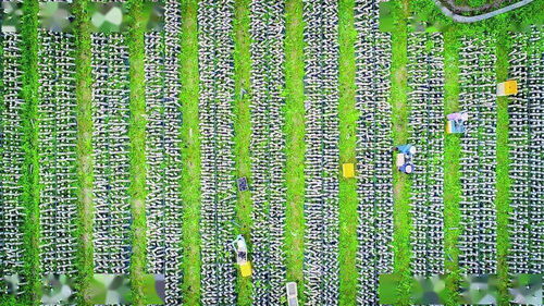 看 豐收的顏色不止一種......