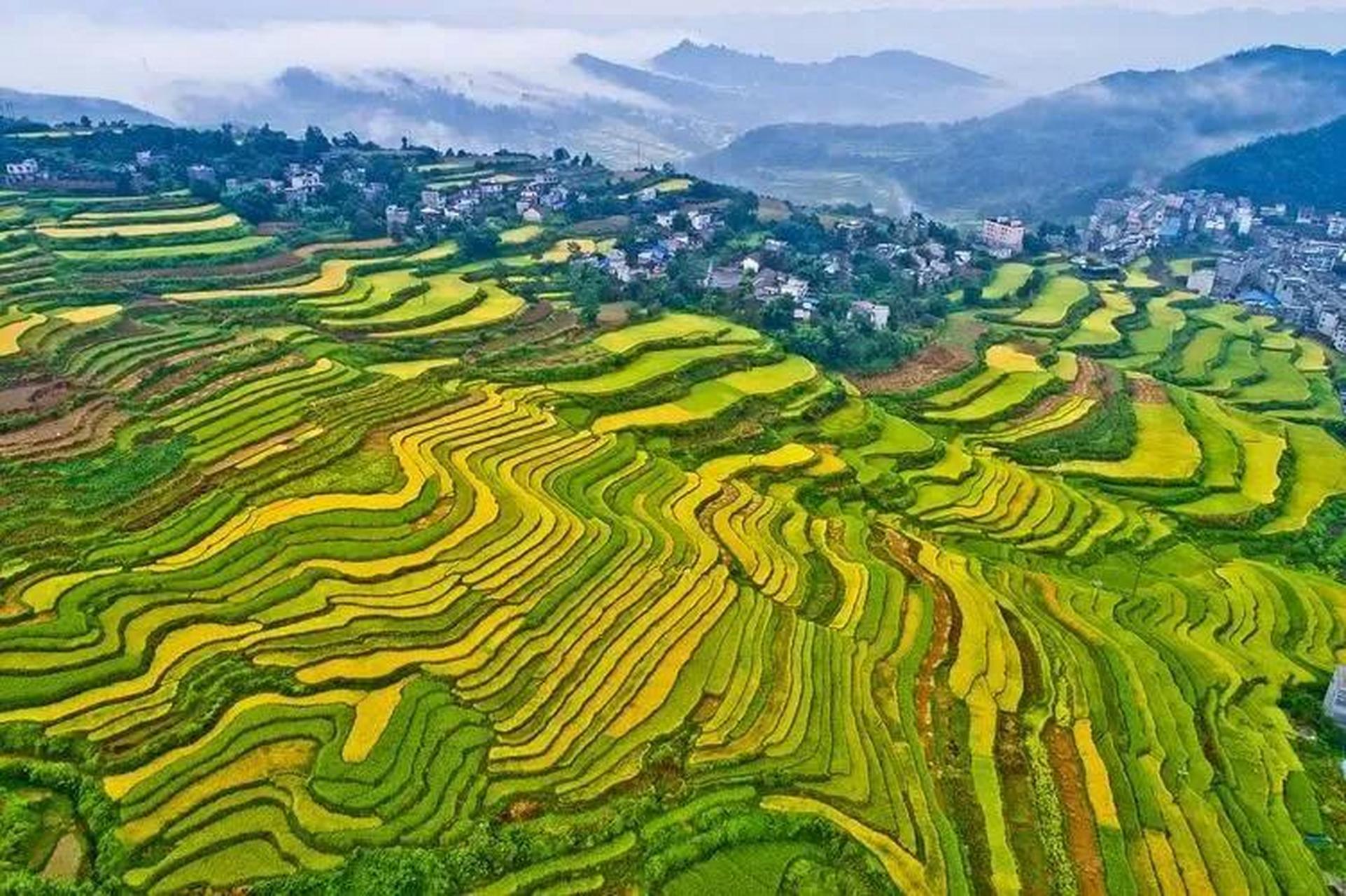 "焚燒雜草"惹大禍,廣西隆林一女子失火毀林獲刑五年零六個月_新聞頻道