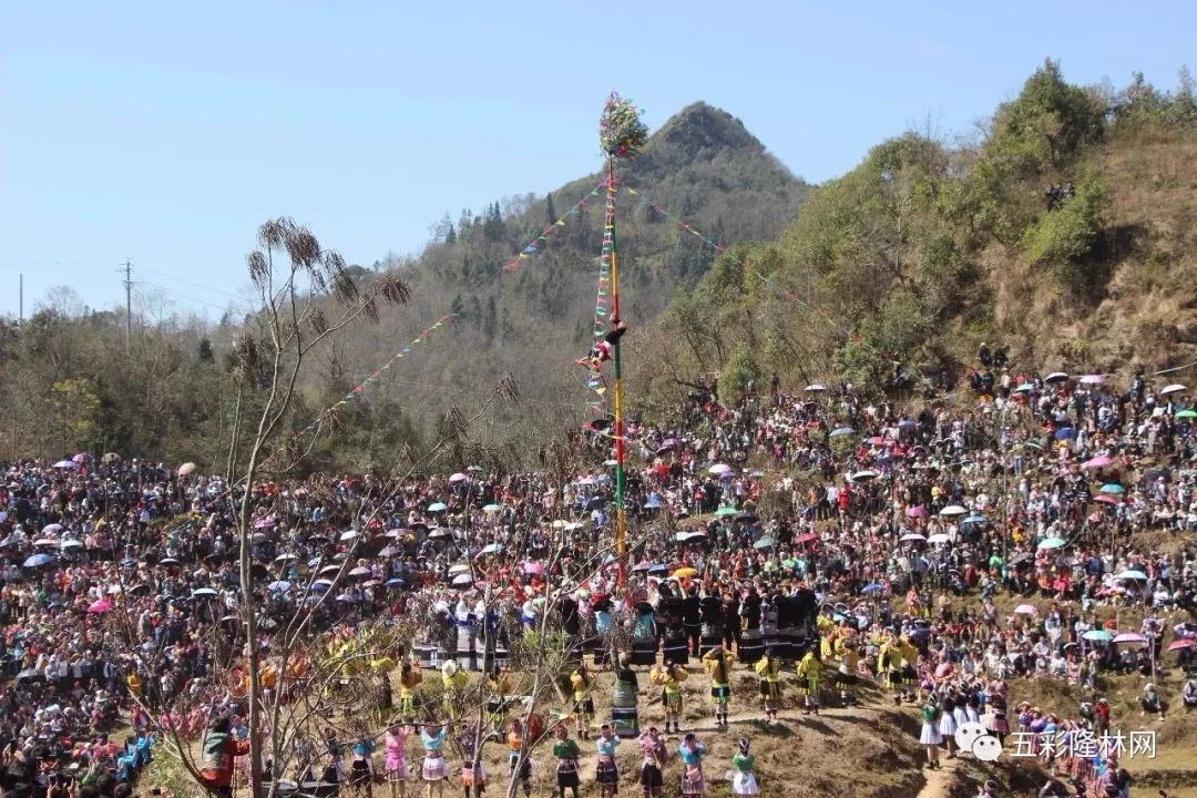 鏡頭下的2019年隆林德峨跳坡節(jié)精彩瞬間!_林網(wǎng)