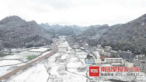 柳州的雪后初霽 玉樹瓊枝,宛如仙境