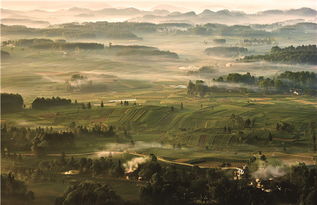 貴州出臺綠色制造三年行動計劃