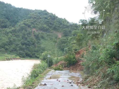 受持續(xù)強(qiáng)降雨影響,隆林縣多路段交通中斷,請(qǐng)廣大司機(jī)注意安全 隆林信息網(wǎng)