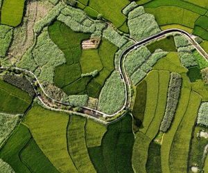 廣西頻道 網(wǎng)上的人民日?qǐng)?bào)