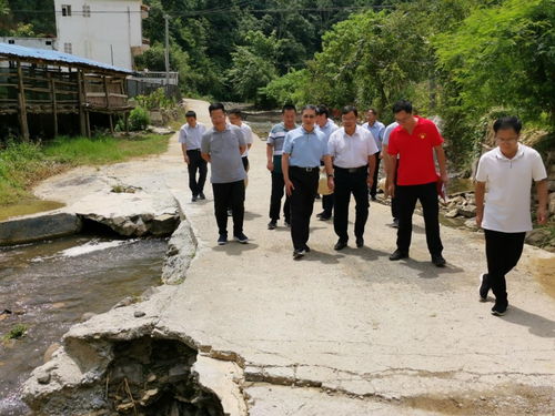 李杰云赴聯(lián)系幫扶村調(diào)研指導(dǎo)鄉(xiāng)村振興工作