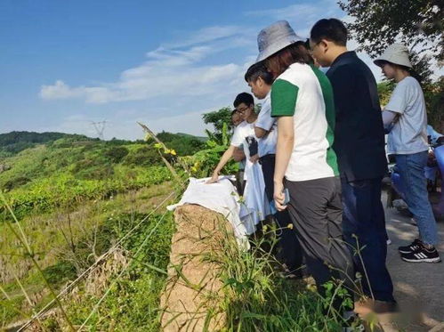 隆林委樂(lè)至革步公路一期工程兩階段初步設(shè)計(jì)預(yù)審會(huì)及外業(yè)驗(yàn)收會(huì)通過(guò)廣西交通運(yùn)輸廳審查