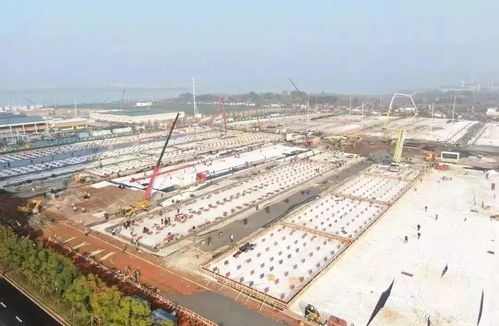 大勢雜談評說 火雷傳奇 背后的建材力量