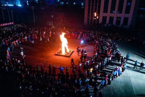 桂字號 農文旅走進大灣區