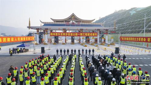 隆林委樂至革步高速公路一期工程建成通車