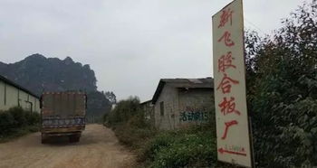 在木材廠打工兩個月染上 怪病 ,患病工人多達十人,重癥者癱瘓幾乎喪命 ......