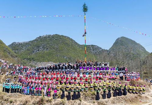 隆林 跳坡節(jié) 開坡 各族同胞共享非遺盛會(huì)