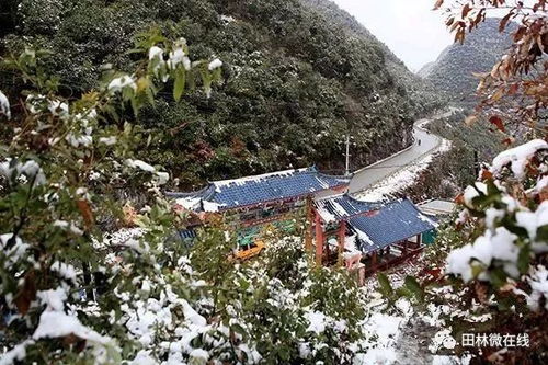 隆林這8250萬元的項(xiàng)目已施工,這真是隆林民之福哦 田東女子開車爆了兩個(gè)輪胎居然不知道,依然行駛