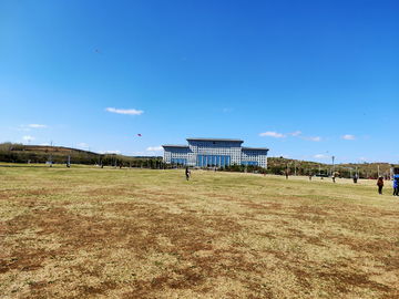 水蘿卜紅蘿卜圖片素材下載 食品餐飲素材下的蔬菜水果圖片素材 匯圖網(wǎng)