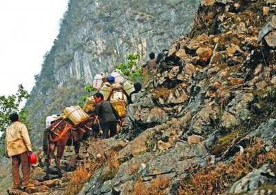 穿越旱區(qū)第七站：廣西百色隆林縣德峨鄉(xiāng)馬幫，在干旱中復(fù)興隆林