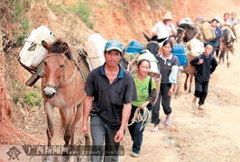 廣西隆林村民抗旱自救記 集體上山尋水保家園