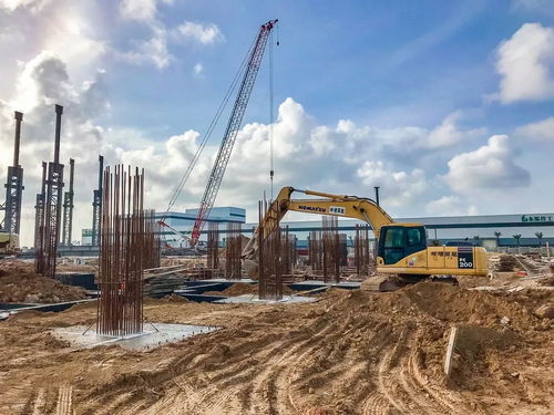 濠江區(qū)臨港產(chǎn)業(yè)布局探秘 上海電氣年底試生產(chǎn)，比亞迪3D玻璃廠未來規(guī)模將超隆林