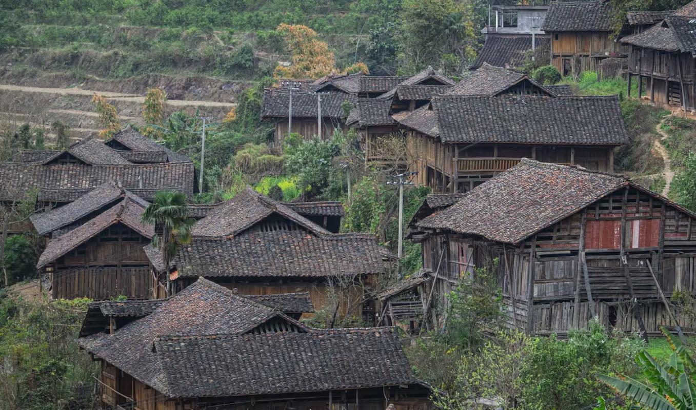 隆林縣平流屯 滇黔桂三省交界的百年壯族村落