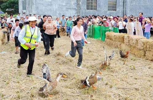 隆林多彩活動慶豐收