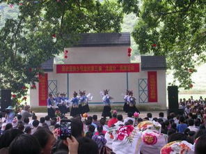 西林水牛的價格及隆林特產網介紹