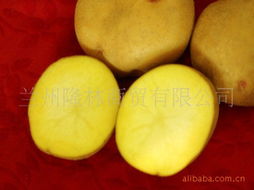 蘭州隆林商貿塊莖類產品列表