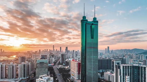 羅湖攜手隆林 一批合作項目簽約落地，消費扶貧見真章