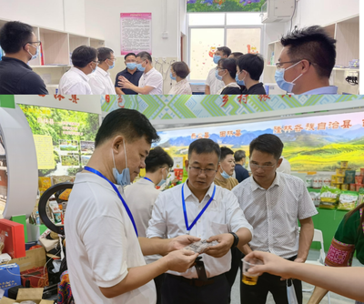 突出抓好“六個”方面，羅湖對口幫扶廣西隆林高質量推進鄉村全面振興