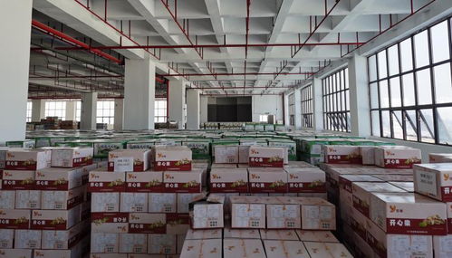 創二代來啦！兄弟同心，其利斷金——父輩放心交棒，他們讓隆林休閑食品小工廠產值從百萬躍升至上億