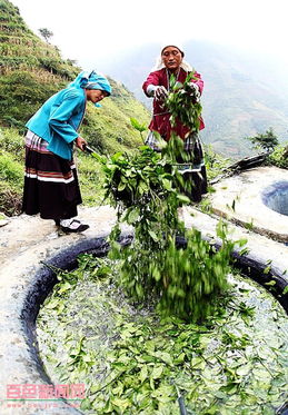 隆林瓦廠藍靛 一抹源自大山的深邃之藍